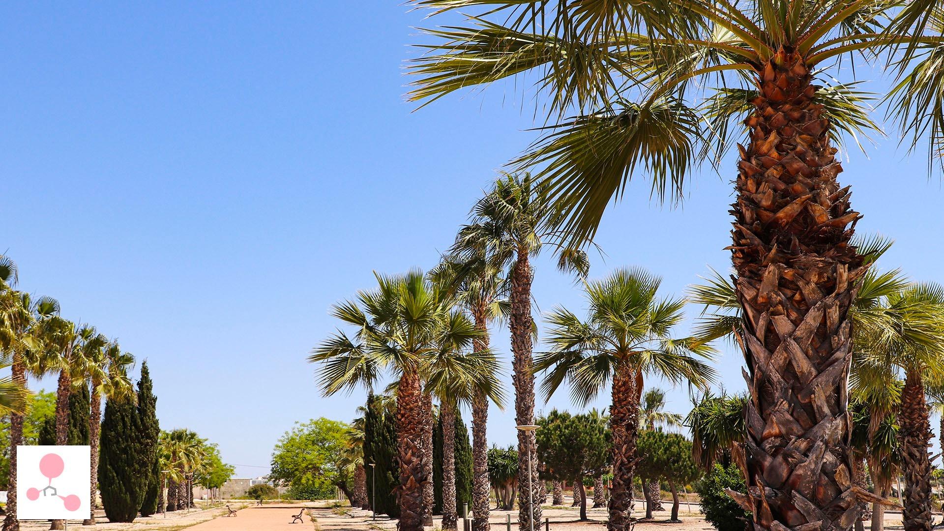 Villa en venta en San Fulgencio