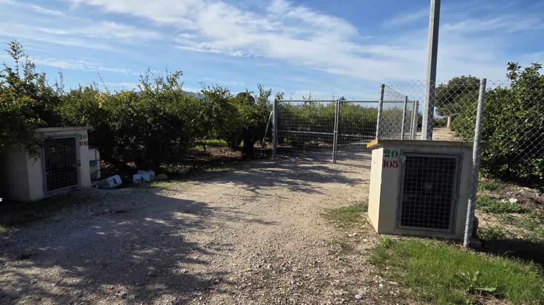 Dom wiejski do remontu na działce o powierzchni 6397 m2 w Albatera_Alicante.