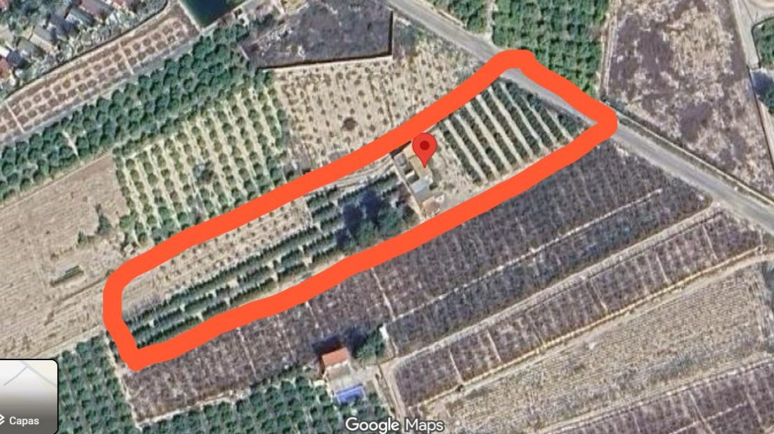 Dom wiejski do remontu na działce o powierzchni 6397 m2 w Albatera_Alicante.