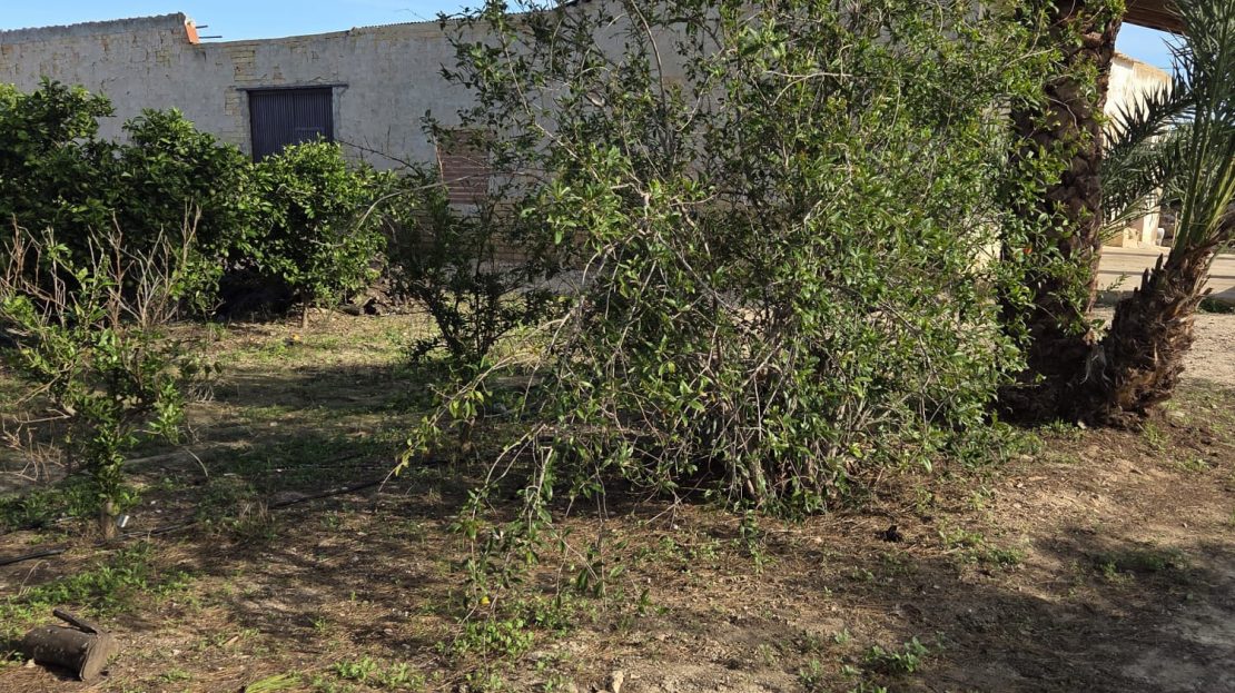 Dom wiejski do remontu na działce o powierzchni 6397 m2 w Albatera_Alicante.