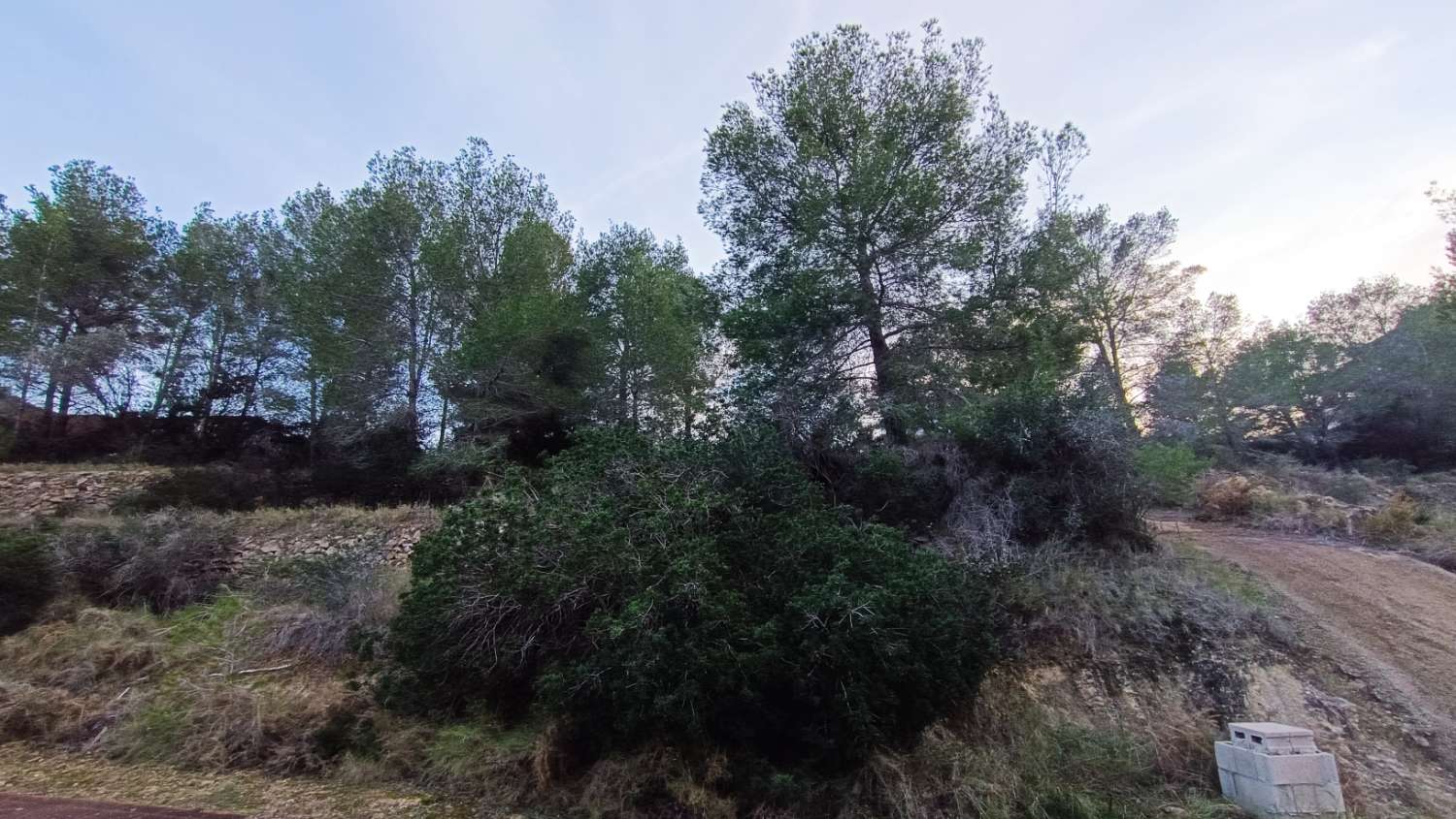 Plot en venda in La Fustera (Benissa)