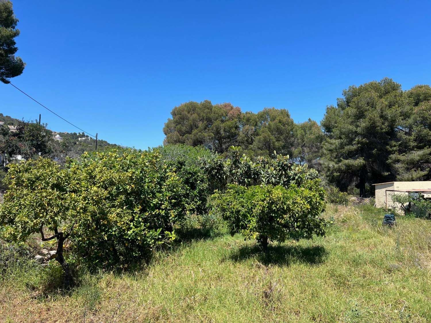 Pavillon en vente à Oltamar-Cucarres (Calpe)