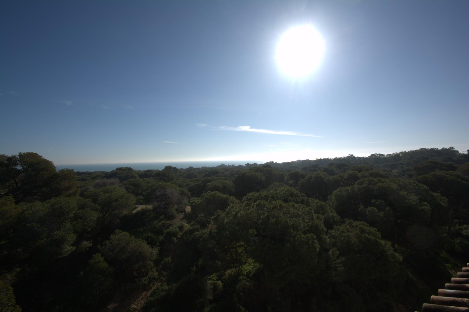 Penthouse te koop in Guardamar del Segura