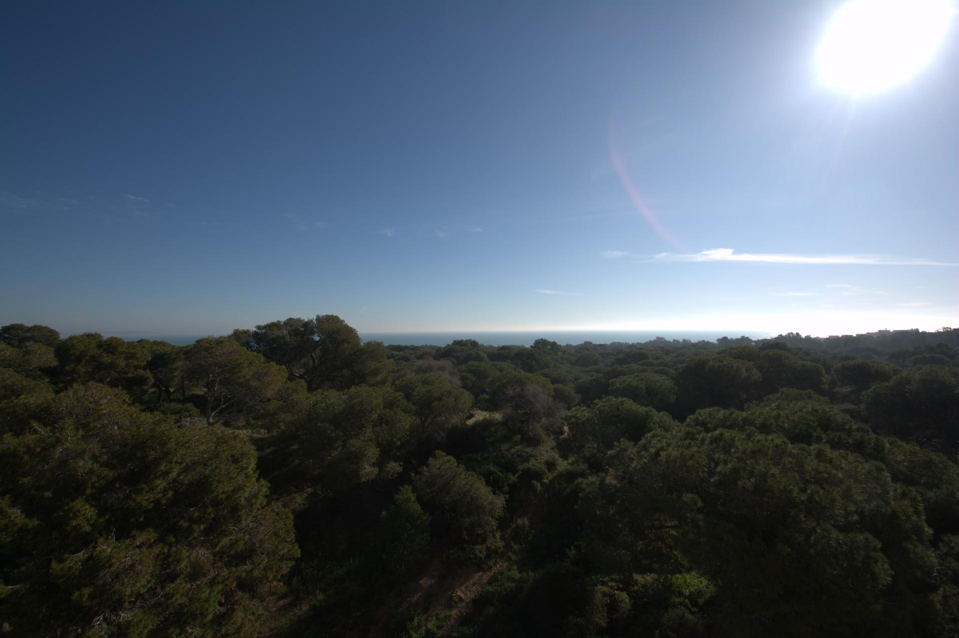 Penthouse te koop in Guardamar del Segura