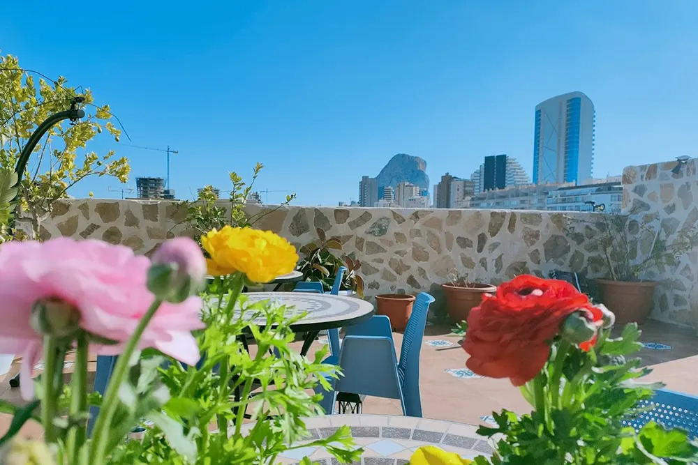 Hotel v prodeji in Playa Arenal-Bol (Calpe)