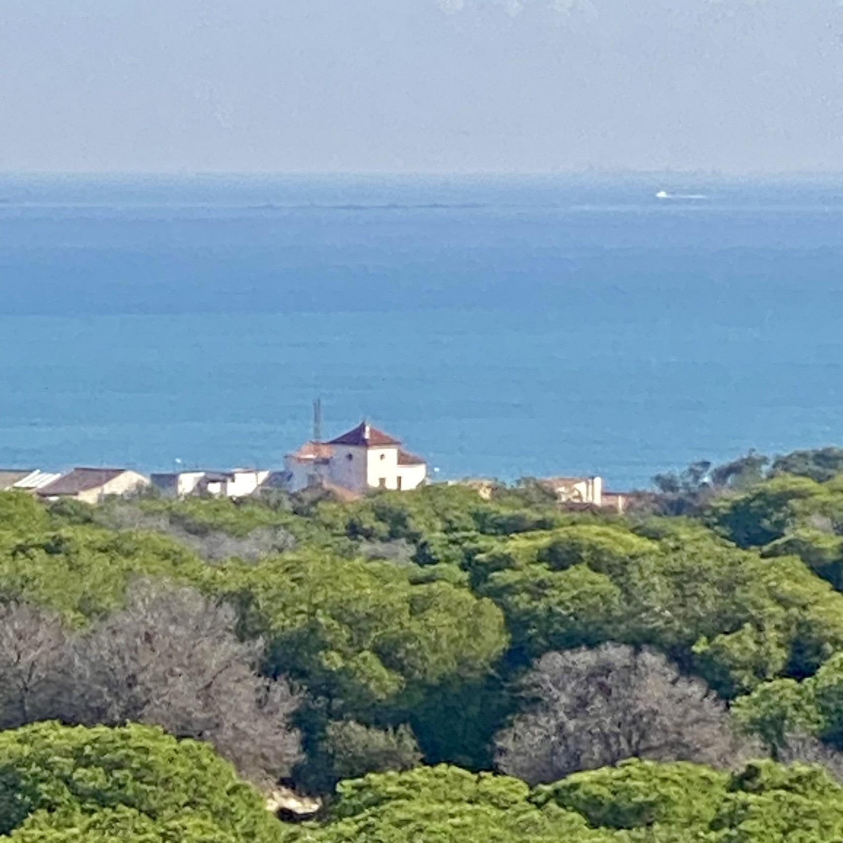 Apartamento en venta en Guardamar del Segura