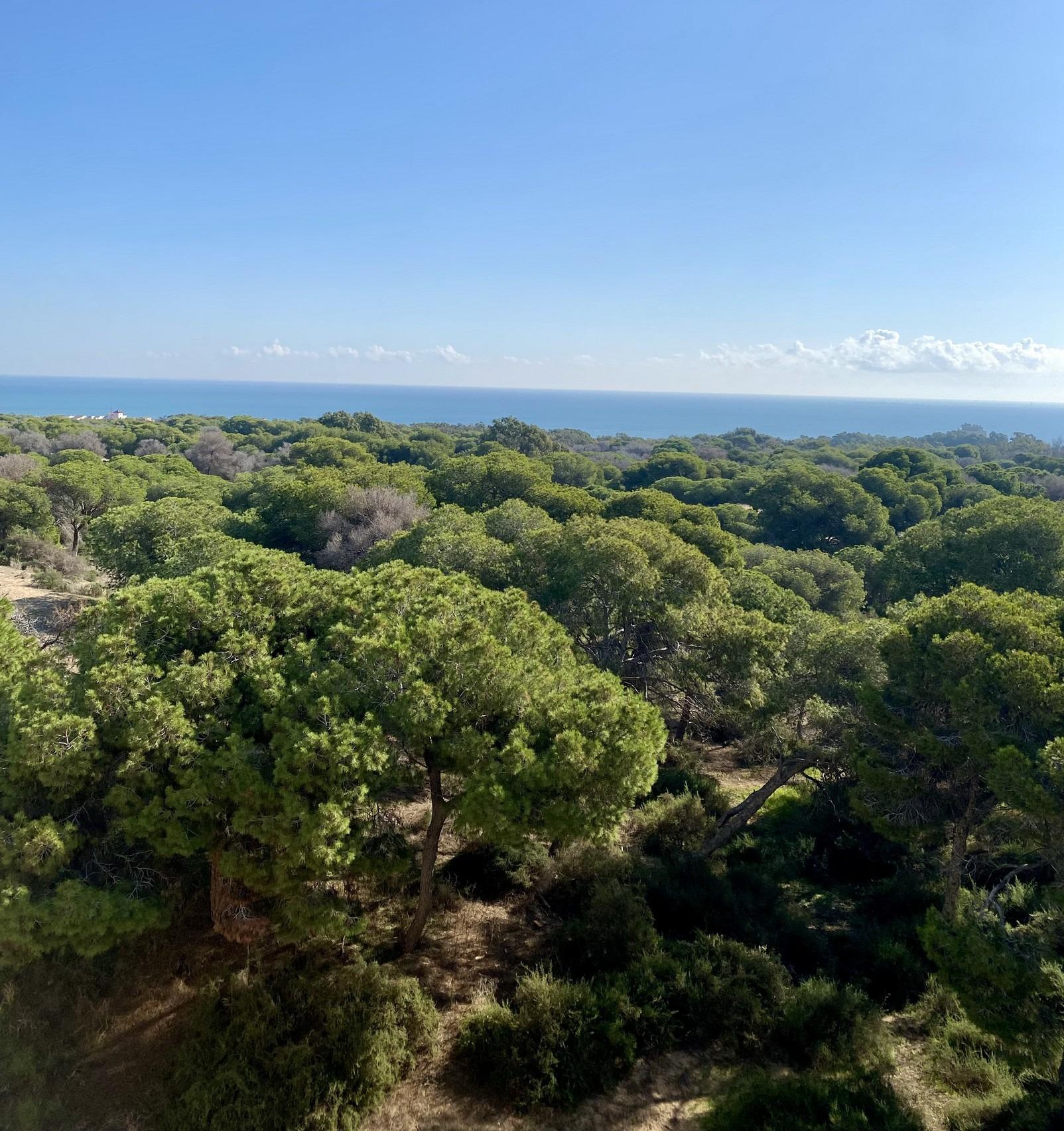 Apartamento en venta en Guardamar del Segura