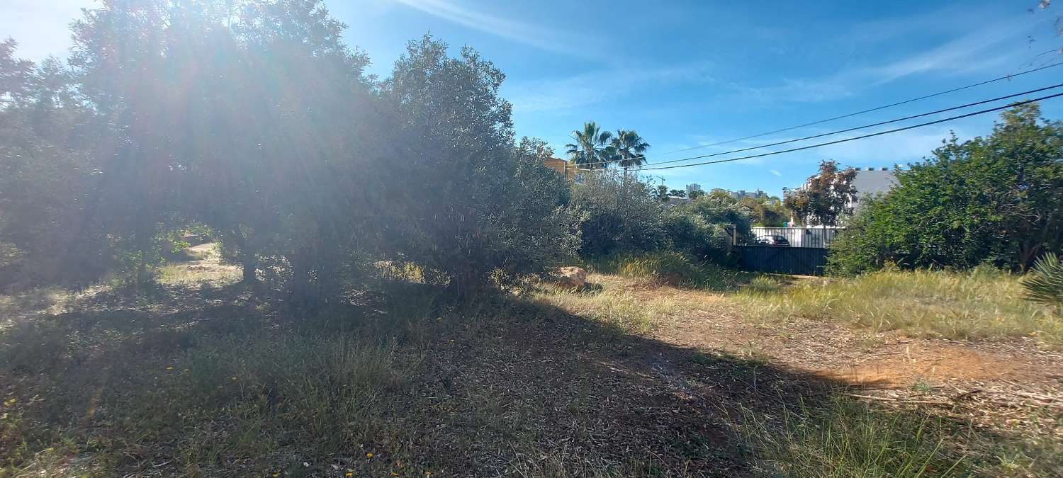 Grundstück von 2.425 m2, 600 m vom Strand entfernt in Calpe (Costa Blanca)