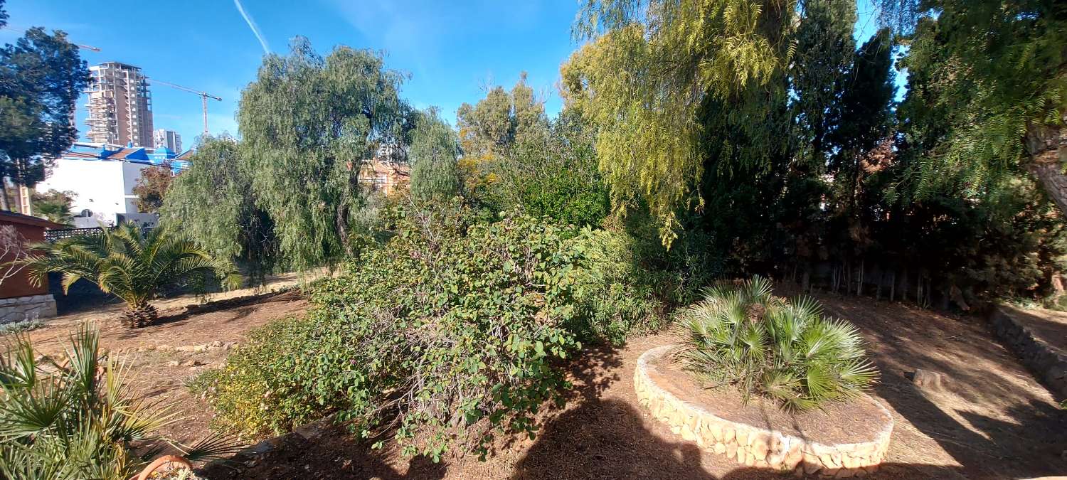 Grundstück von 2.425 m2, 600 m vom Strand entfernt in Calpe (Costa Blanca)