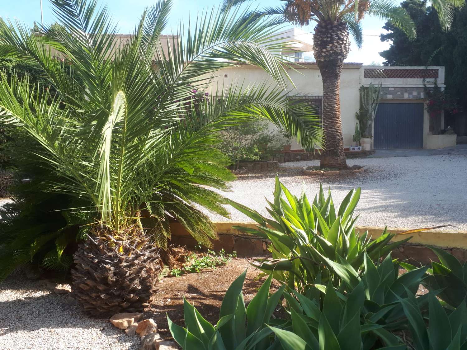 Grundstück von 2.425 m2, 600 m vom Strand entfernt in Calpe (Costa Blanca)