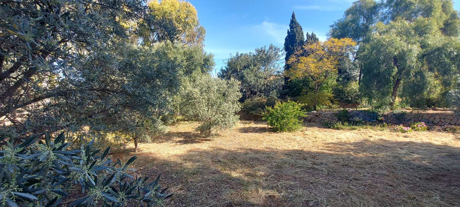 Grundstück von 2.425 m2, 600 m vom Strand entfernt in Calpe (Costa Blanca)