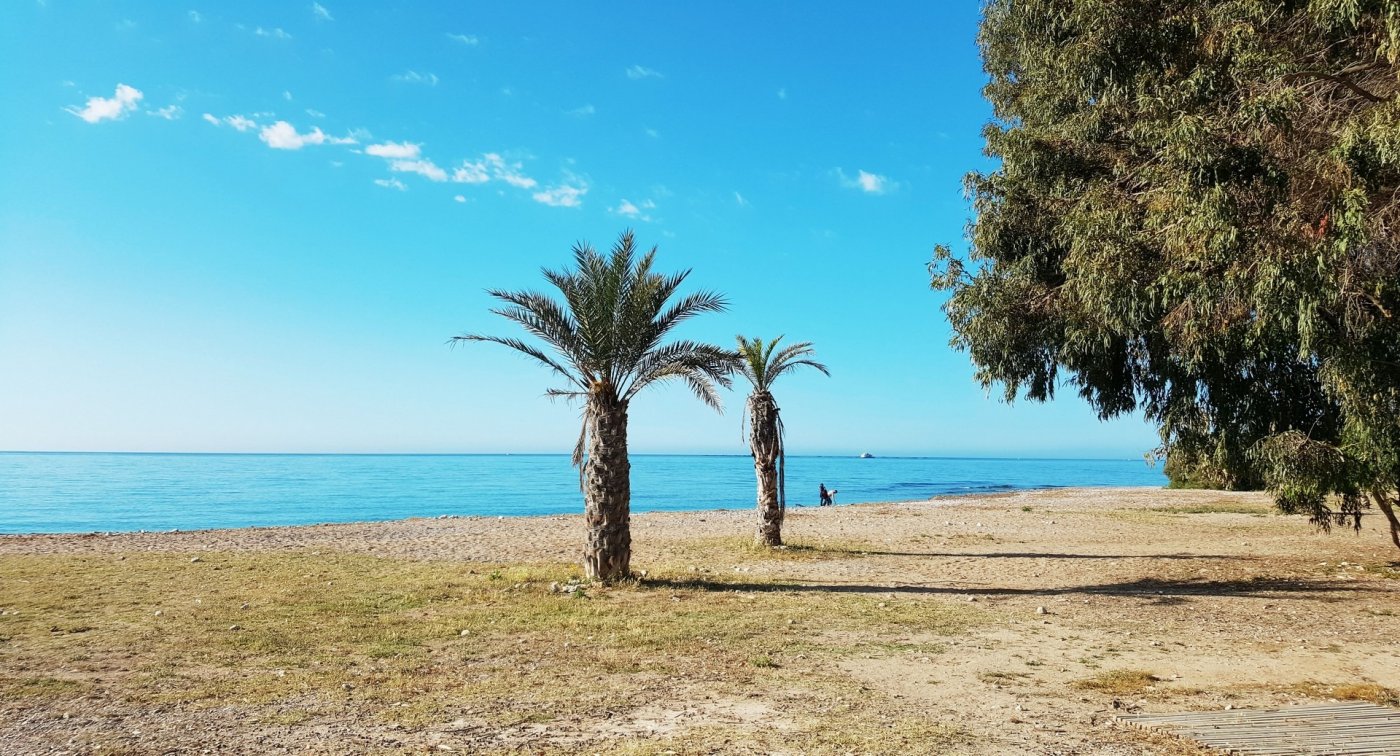 пентхауз в продаже в Villajoyosa