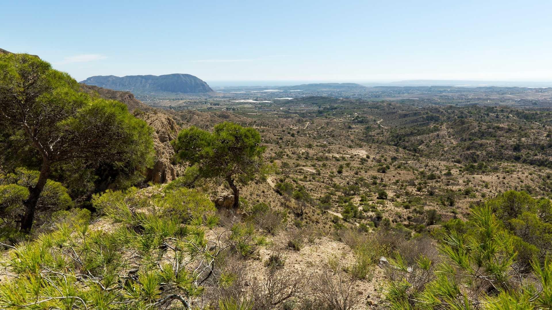 Villa en venta en Aspe