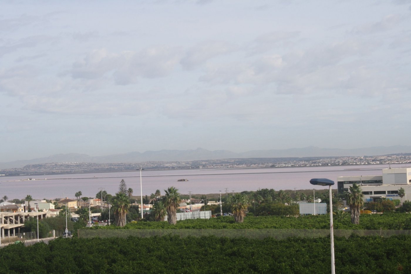 Dům v prodeji in Torrevieja