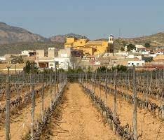 Bungalov v prodeji in Hondón de las Nieves