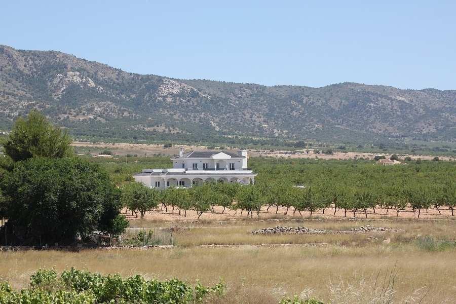 Villa til salg i Pinoso