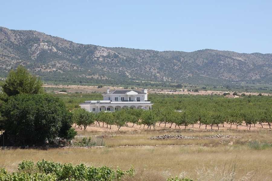 Villa en venta en Pinoso