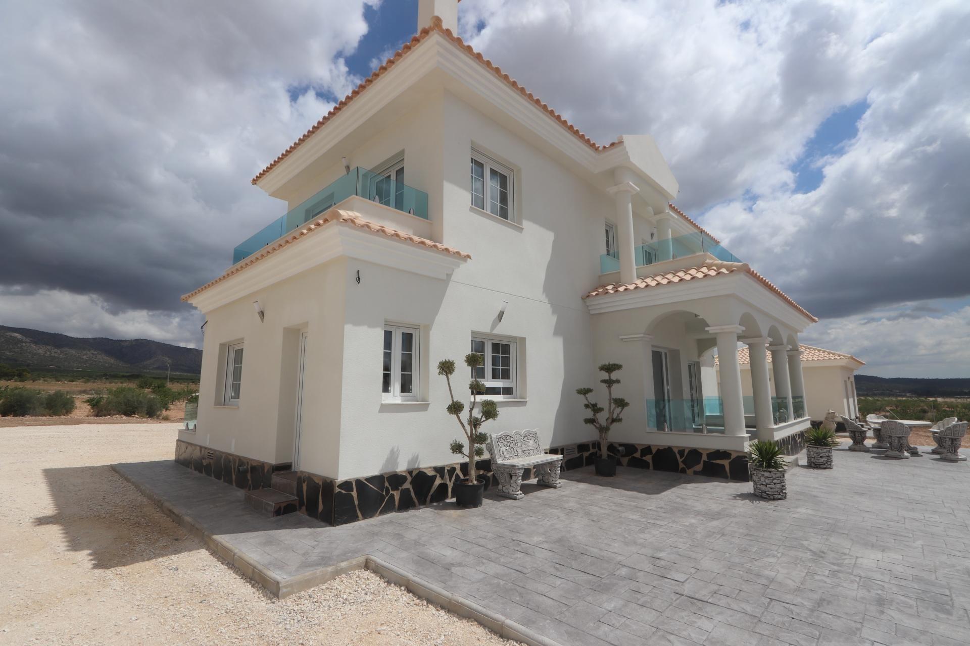 New Construction Villas on 10,000 m2 plots in Pinoso (Alicante)