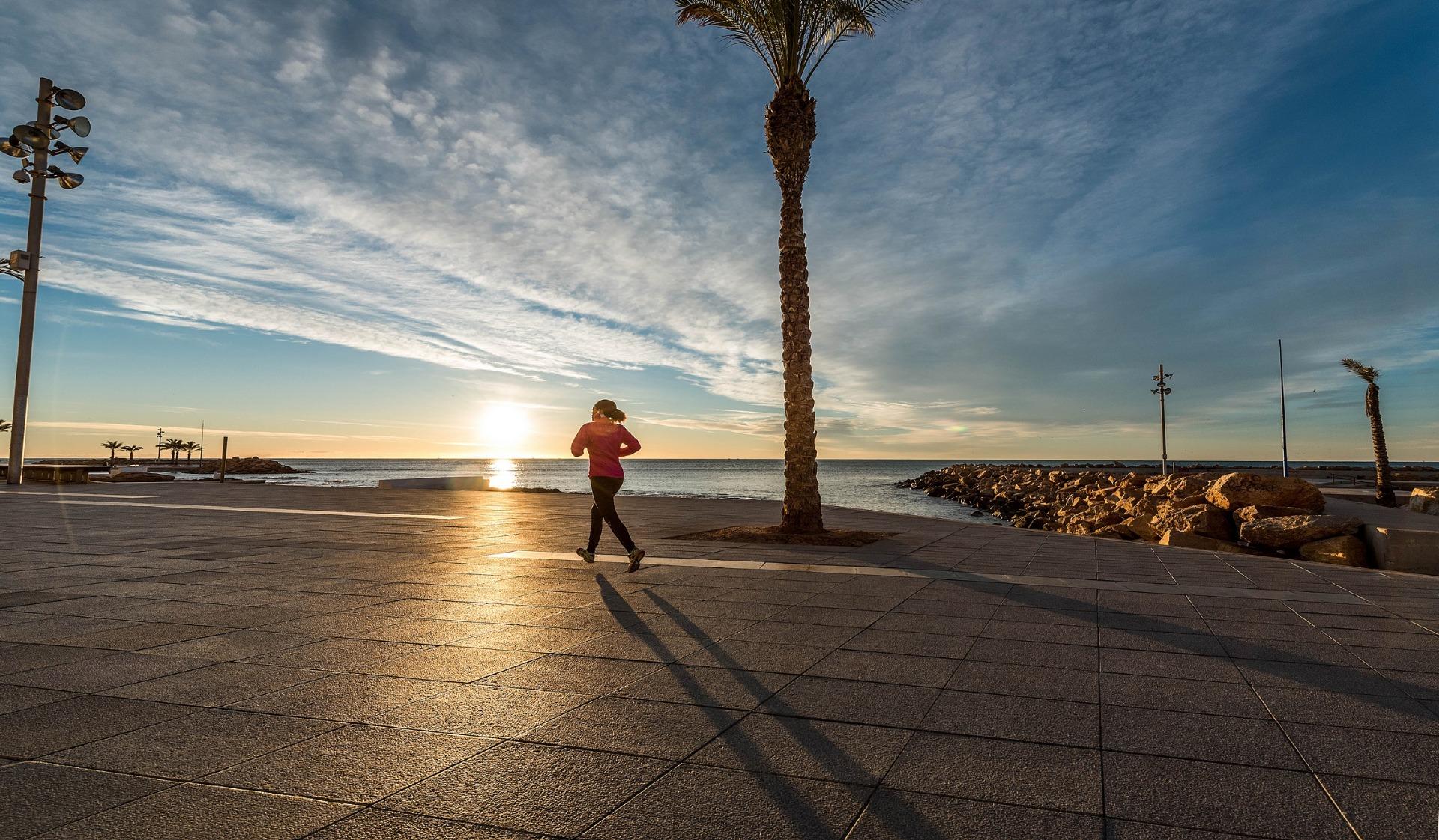 耳房 出售 在 Torrevieja