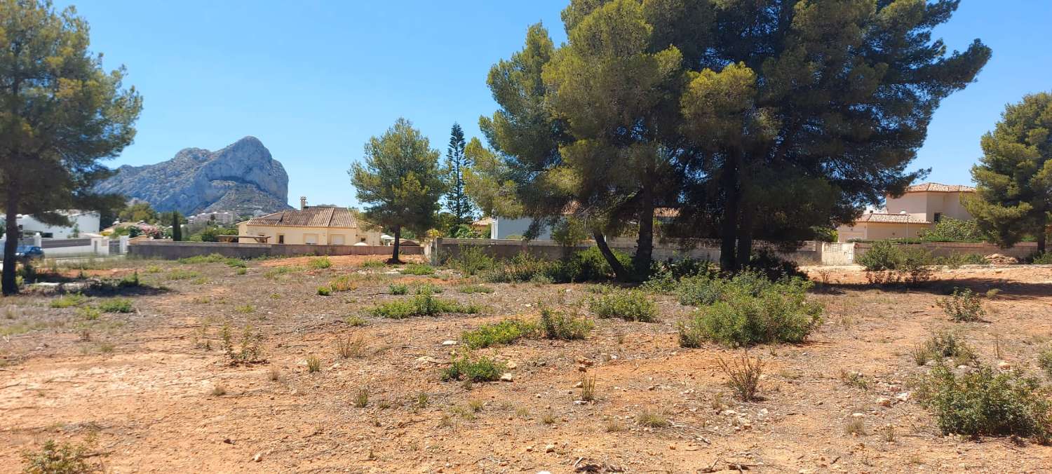 Parcel til salg i Calpe