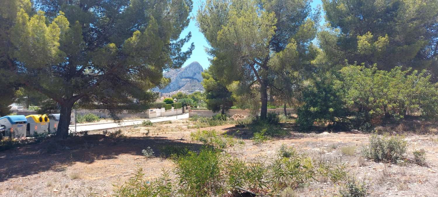 Parcel til salg i Calpe