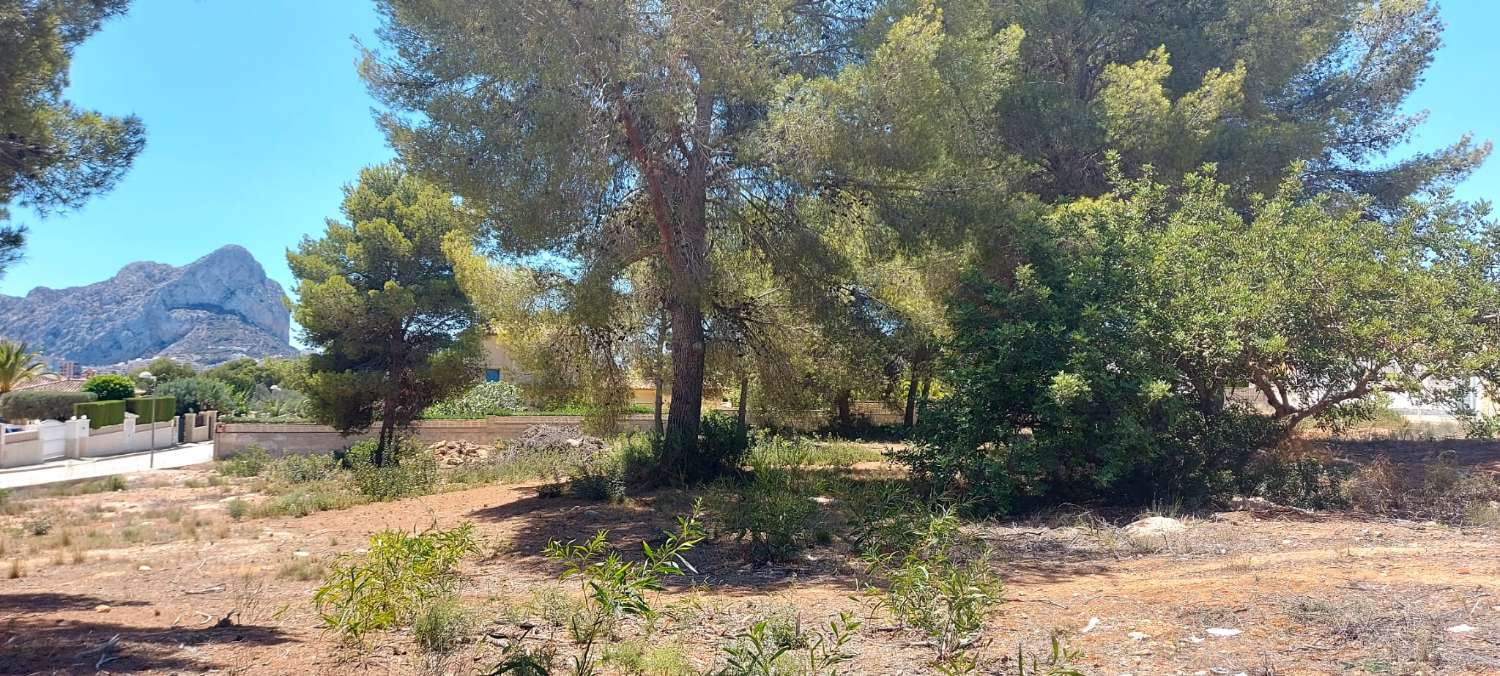 Parcel til salg i Calpe