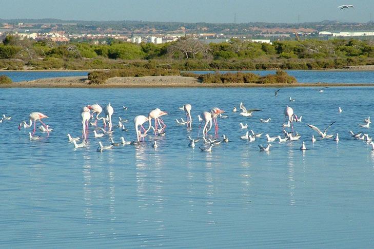 Villa til salg i San Pedro del Pinatar