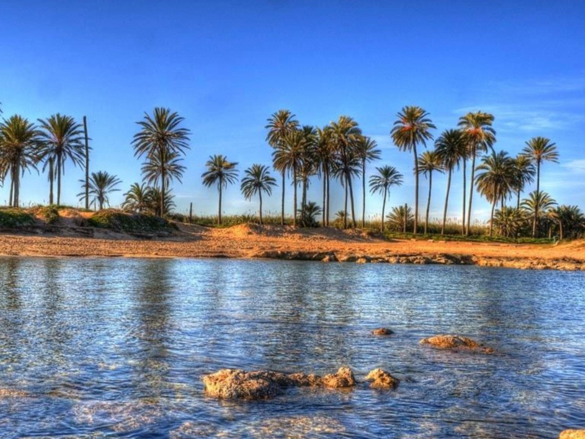 Lejlighed til salg i Torrevieja