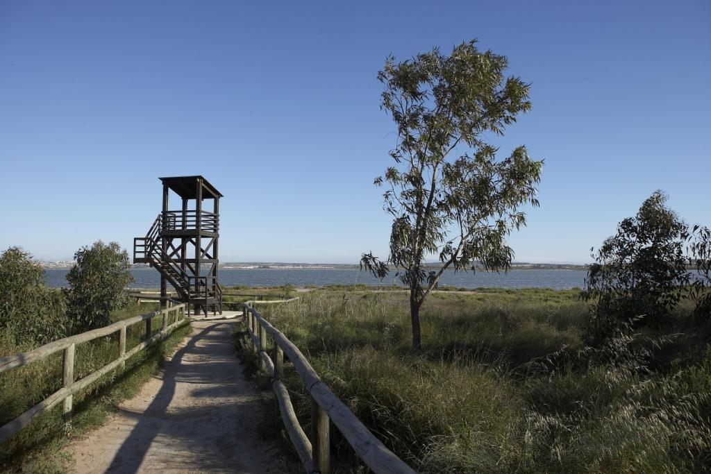Appartamento in vendita a San Miguel de Salinas