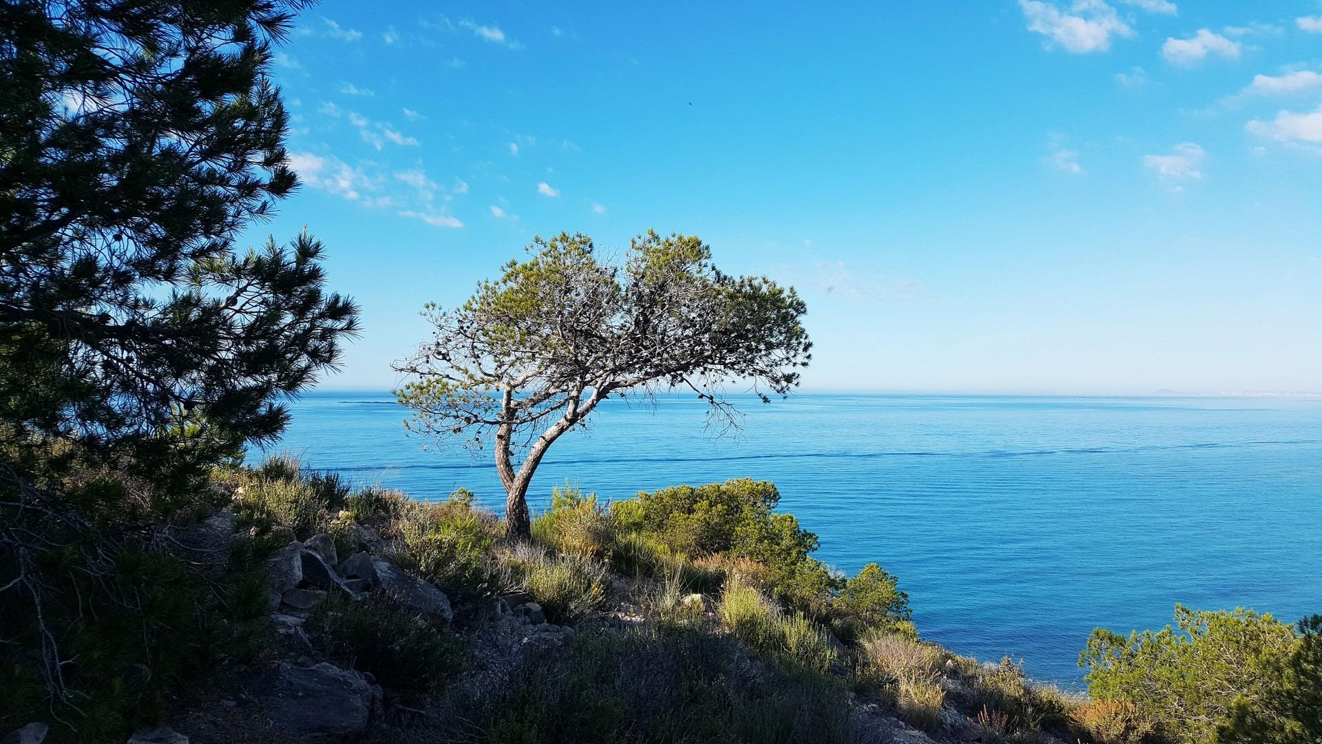 Appartment zum verkauf in Villajoyosa