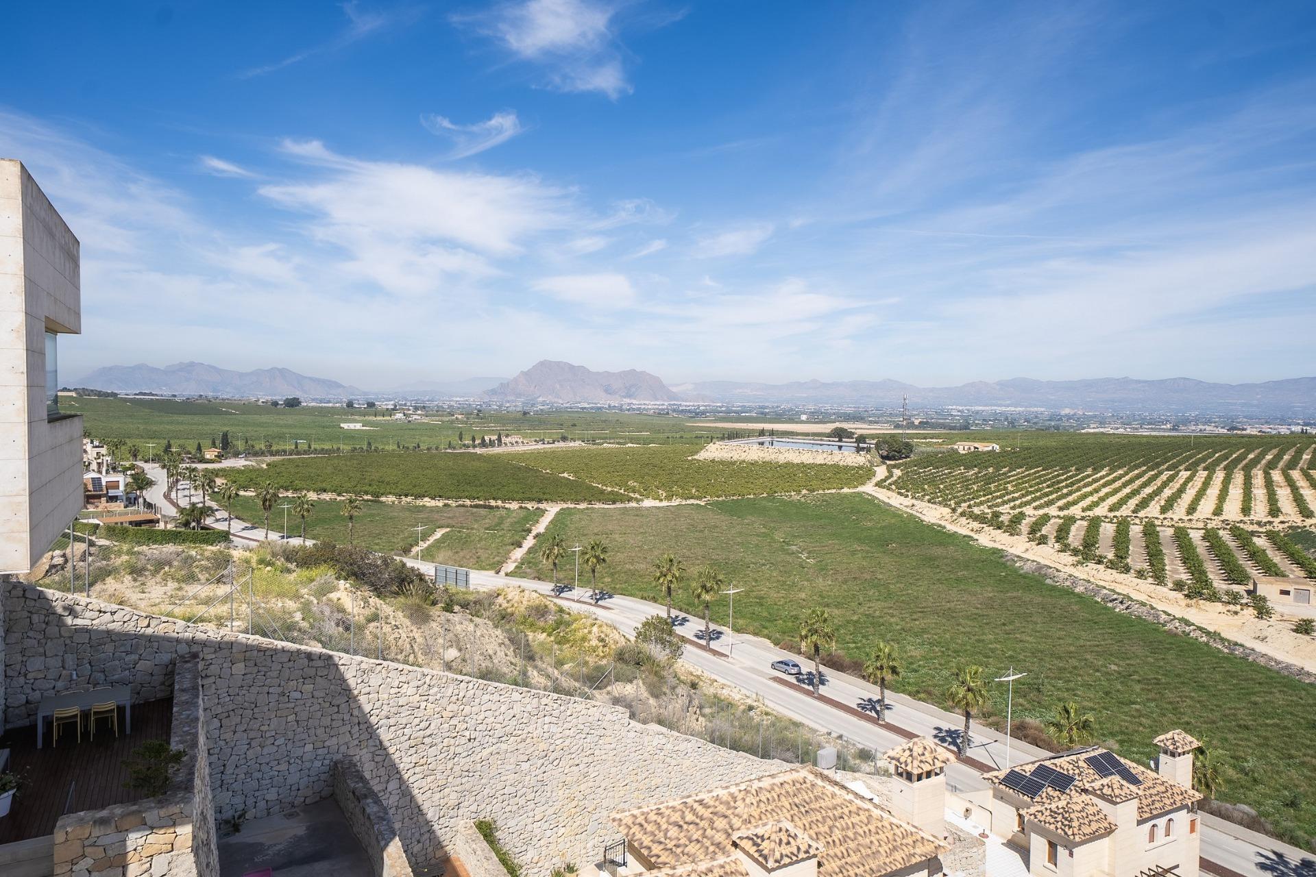 Villa til salg i Algorfa
