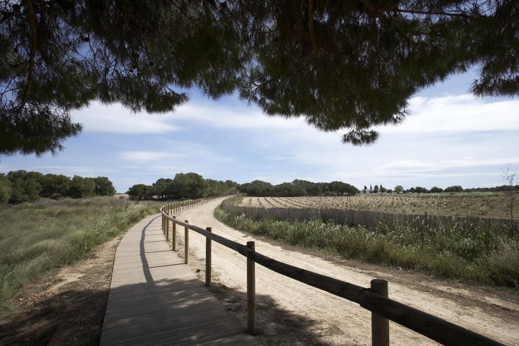 Bungalov v prodeji in Torrevieja