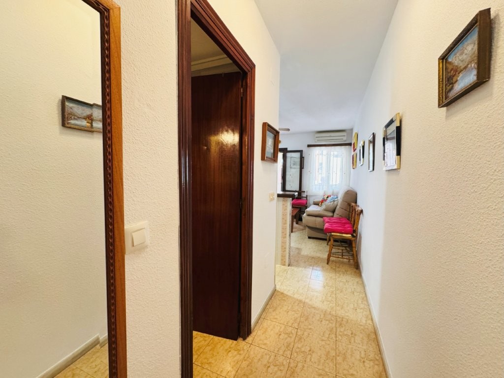 1-Zimmer-Wohnung 50 Meter vom Strand entfernt in La Mata (Costa Blanca Süd)