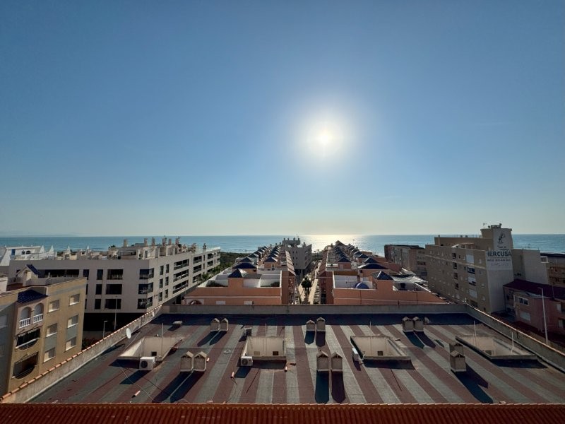 Petit Appartement en vente à La Mata (Torrevieja)