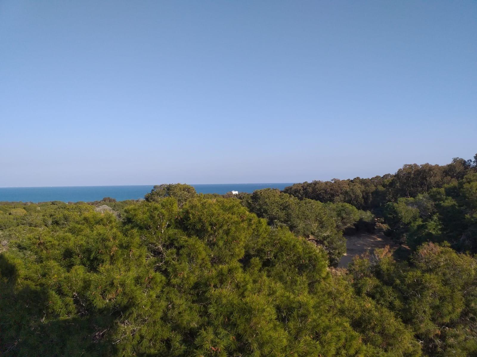 Appartement te koop in Guardamar del Segura