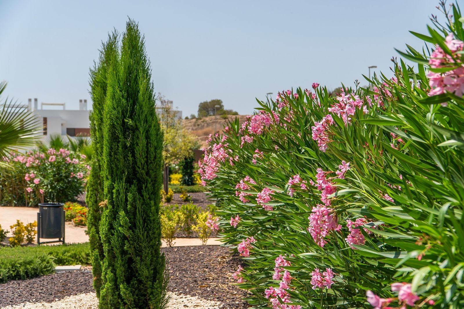 Бунгало в продаже в Orihuela