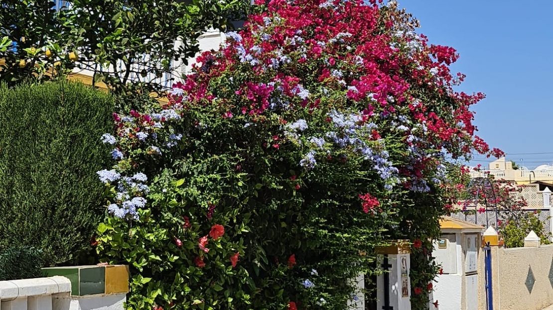 Bungalow op de begane grond met 2 slaapkamers en gemeenschappelijk zwembad in Orihuela Costa (Alicante).