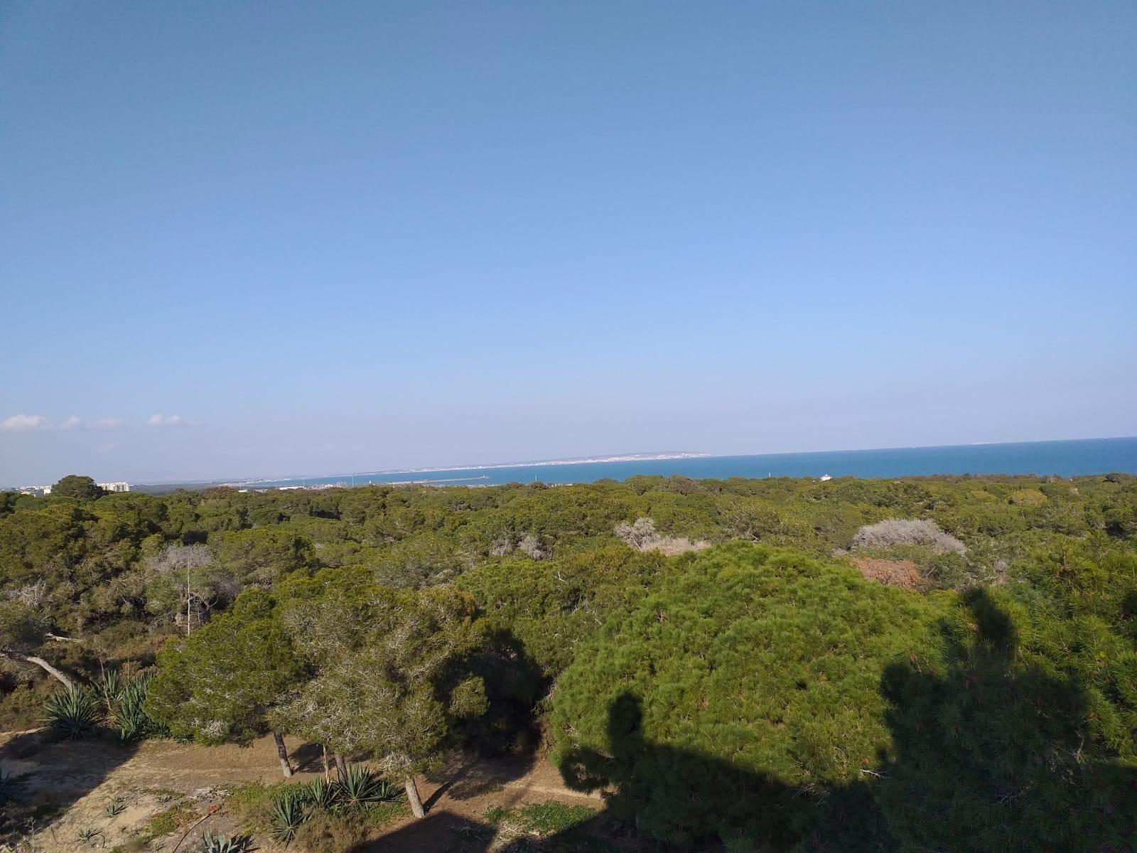 Appartement te koop in Guardamar del Segura