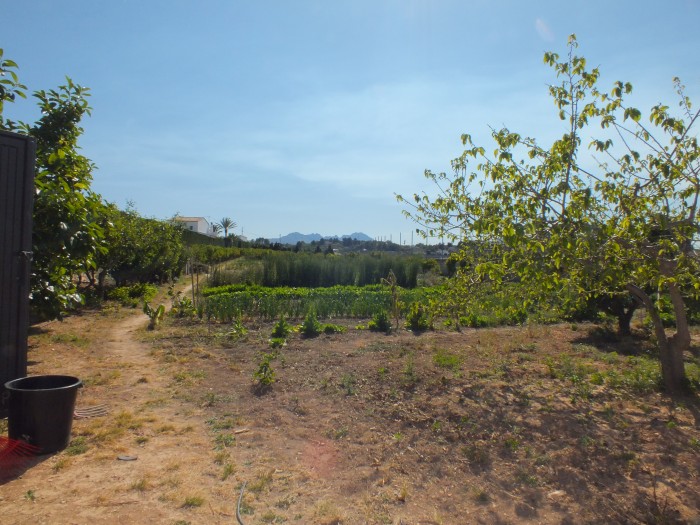 LUKSUS FINCA MED 11.000 m2 jord på den hvide kyst